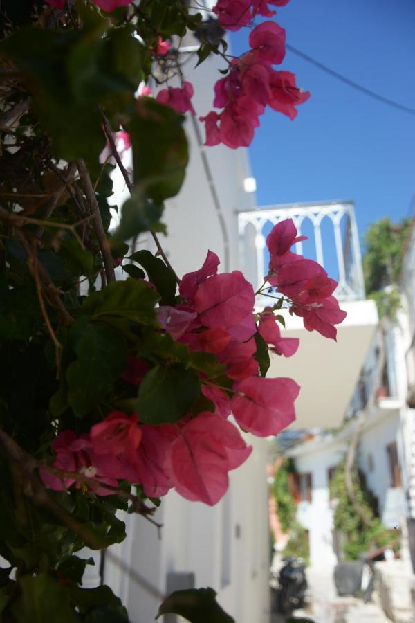 Tínos Cozy Home 2 מראה חיצוני תמונה